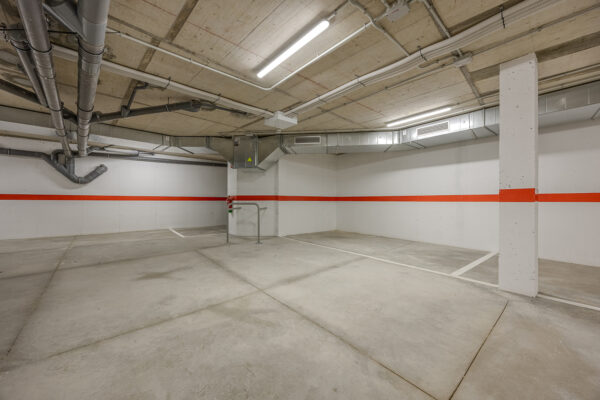  Photo-23872